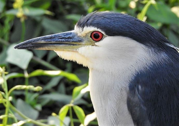 1-Kvakva_DSCN1309 (2)-1