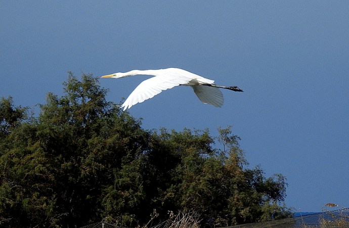 1-Zaplia_B_B_DSCN5660-001