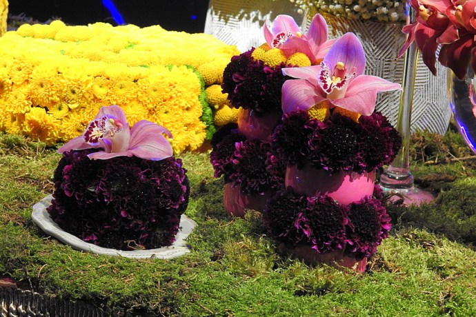 Chay_Alisa_DSCN1190-001