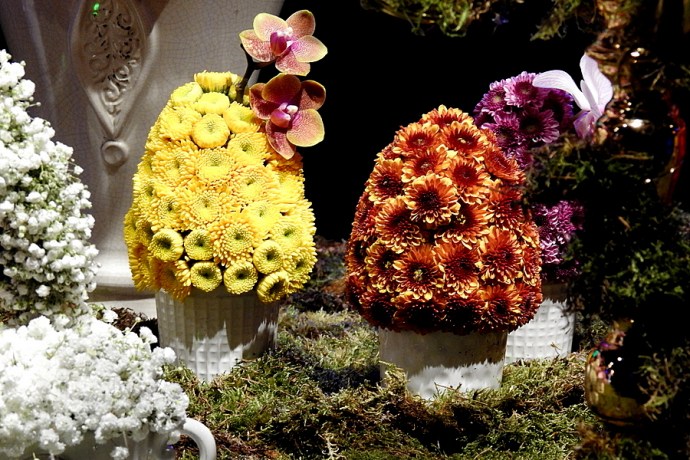 Chay_Alisa_DSCN1191-001