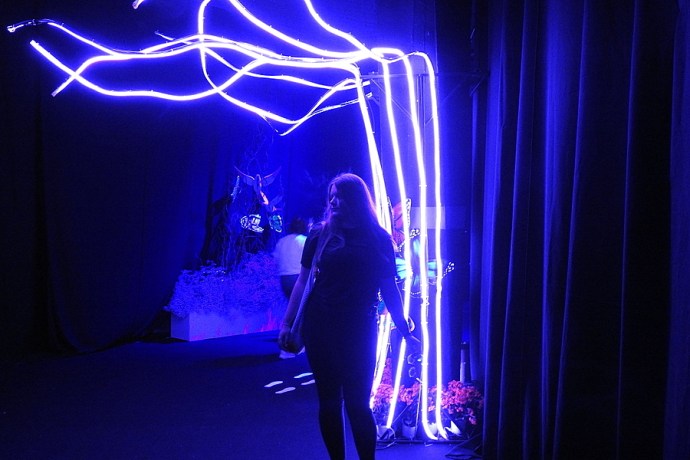 Les_Bet_DSCN1162-001